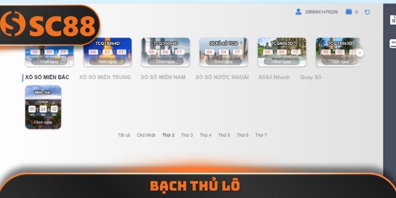 bạch thủ lô