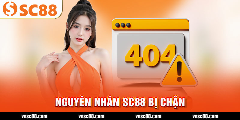 Nguyên nhân SC88 bị chặn